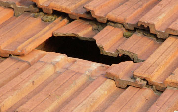 roof repair Wrockwardine Wood, Shropshire